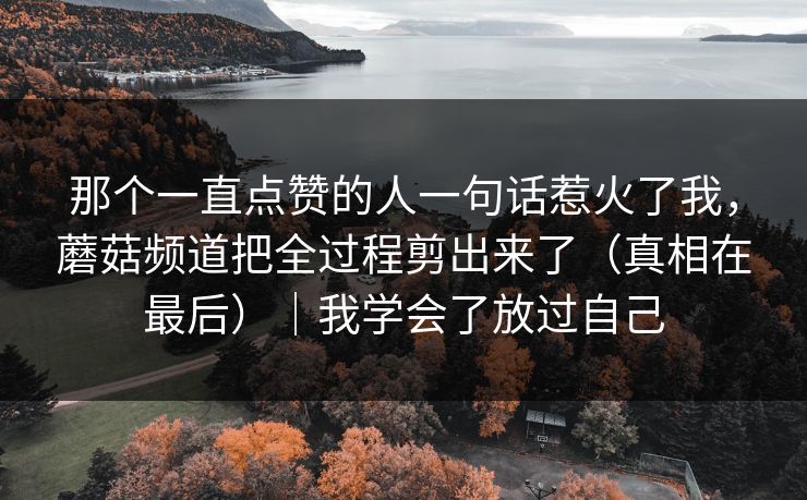 那个一直点赞的人一句话惹火了我，蘑菇频道把全过程剪出来了（真相在最后）｜我学会了放过自己
